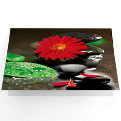3D Lenticular Greeting Cards 3d lenticular greeting cards, lenticular 3D printing greeting cards, animated postcards