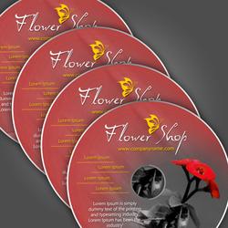CD / DVD Duplication cd/dvd duplication and printing, cheap cd duplication, disc makers