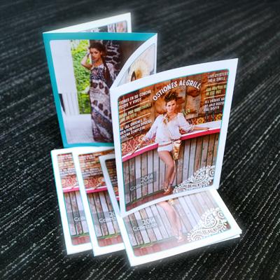 Accordion-Fold-Brochure-100lb-Book-Magazine-Stock 