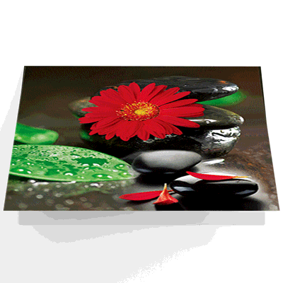 3D Lenticular Postcard Greeting Card Stingray 
