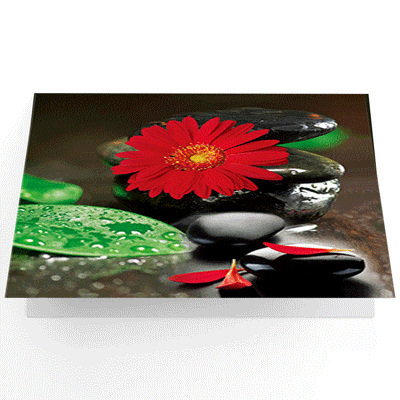 3d lenticular greeting cards, lenticular 3D printing greeting cards, animated postcards